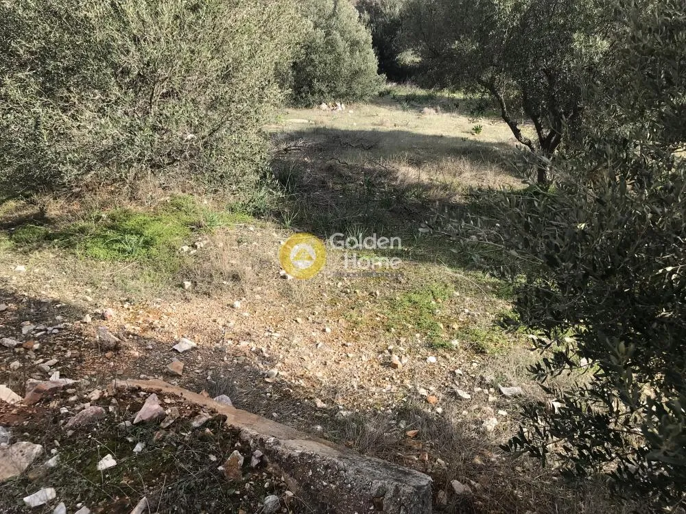 Άλλο.. 18000τ.μ.  - 4