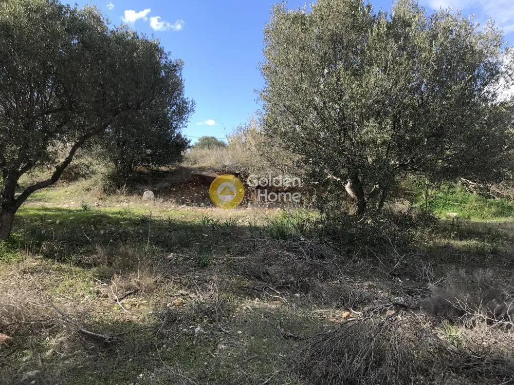 Άλλο.. 18000τ.μ.  - 5