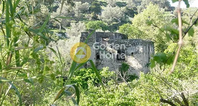 Μονοκατοικία 300τ.μ.  - 3