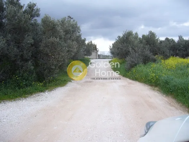 Land Parcel 18000m²  - 2