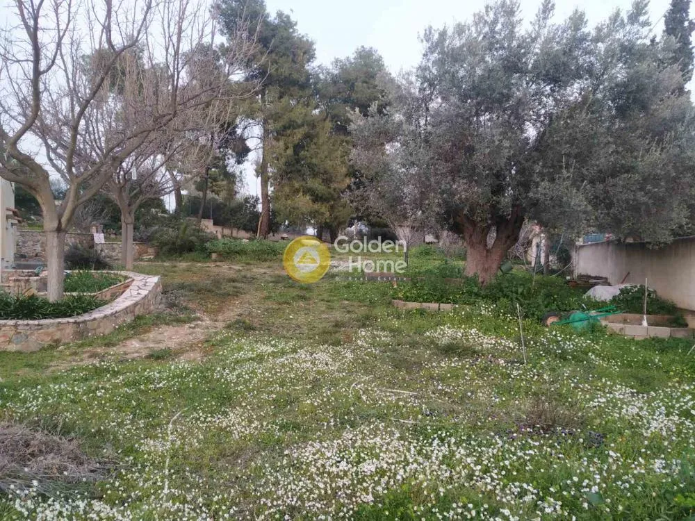 Μονοκατοικία 265τ.μ.  - 3