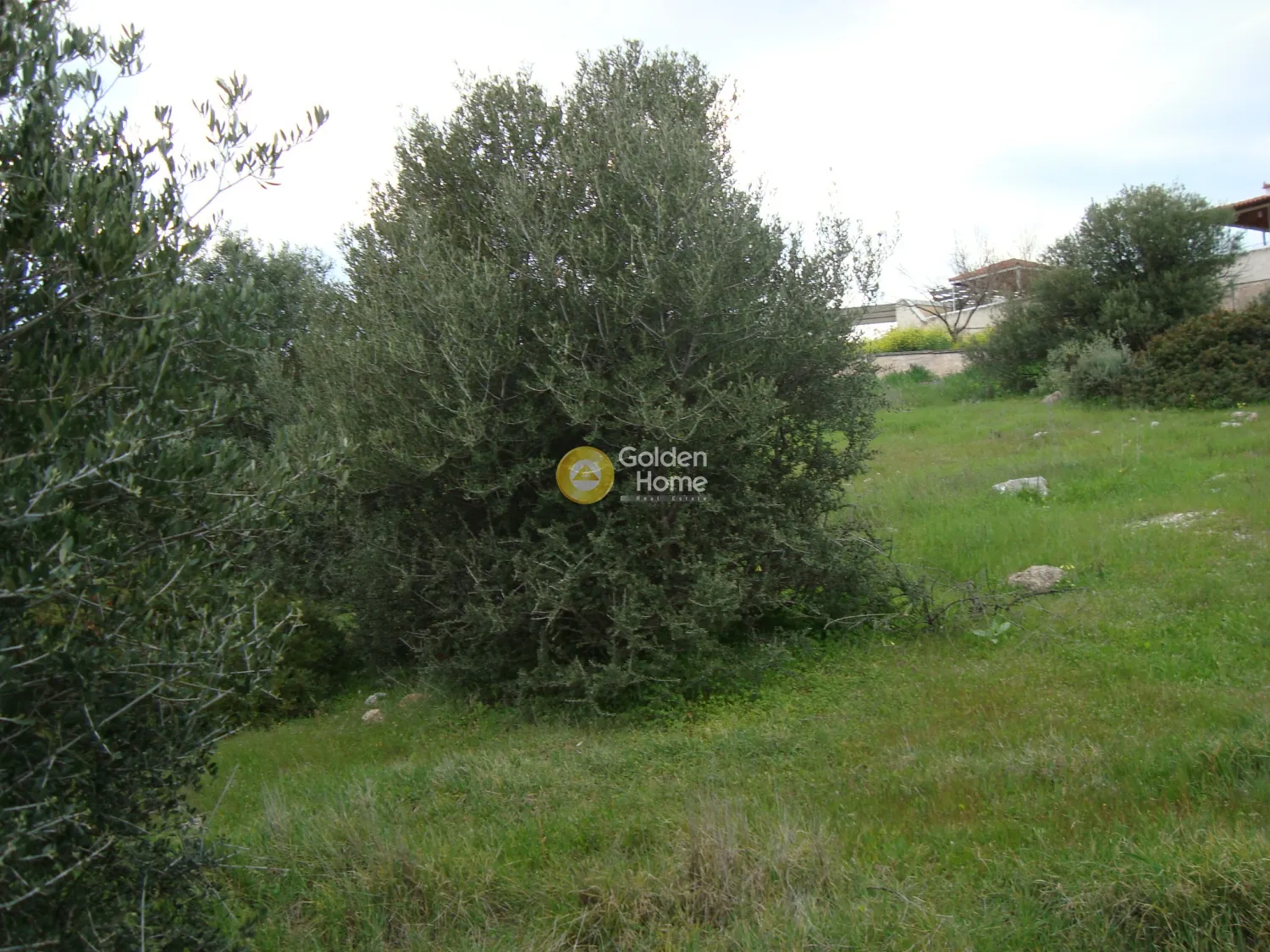 Αγροτεμάχιο 2263τ.μ.  - 2