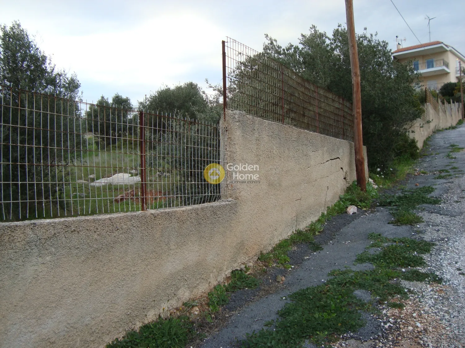 Αγροτεμάχιο 2263τ.μ.  - 5