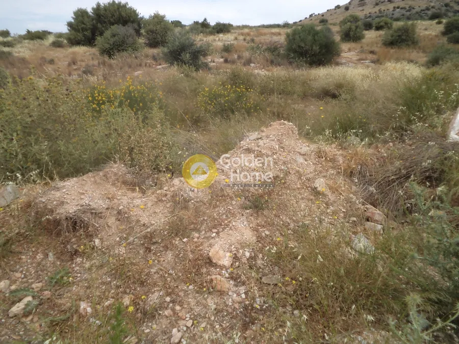 Αγροτεμάχιο 4200τ.μ.  - 2