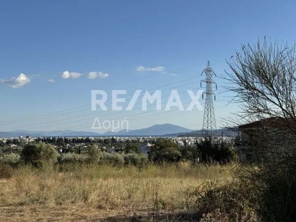 Αγροτεμάχιο 5668τ.μ.  - 5