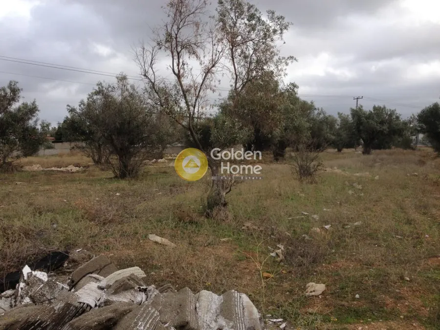 Land Parcel 2500m²  - 2