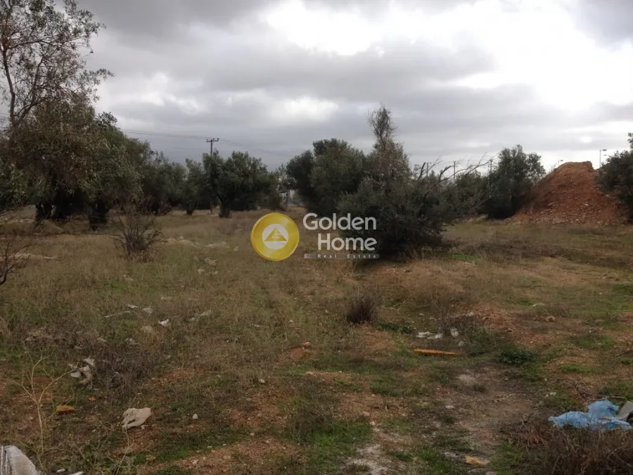 Land Parcel 2500m²  - 3