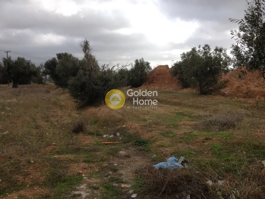 Land Parcel 2500m²  - 4