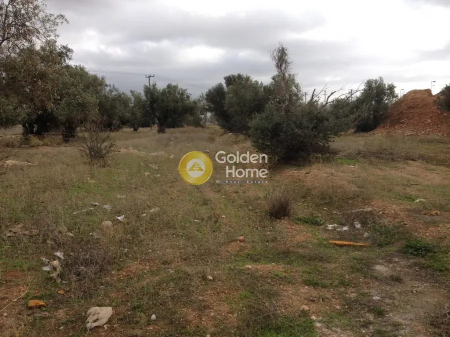 Land Parcel 2500m²  - 5