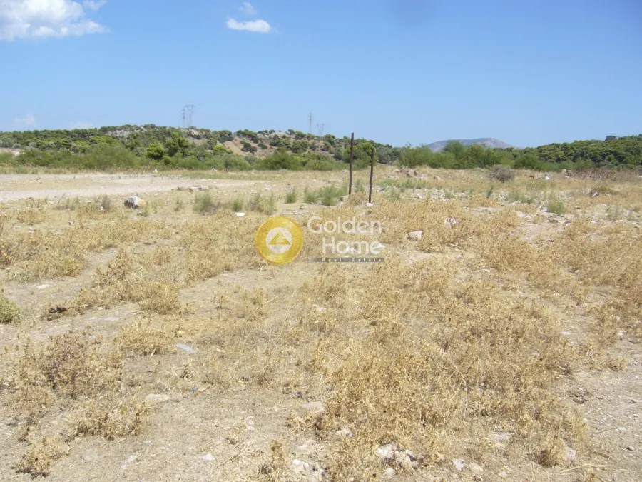 Αγροτεμάχιο 10079τ.μ.  - 3