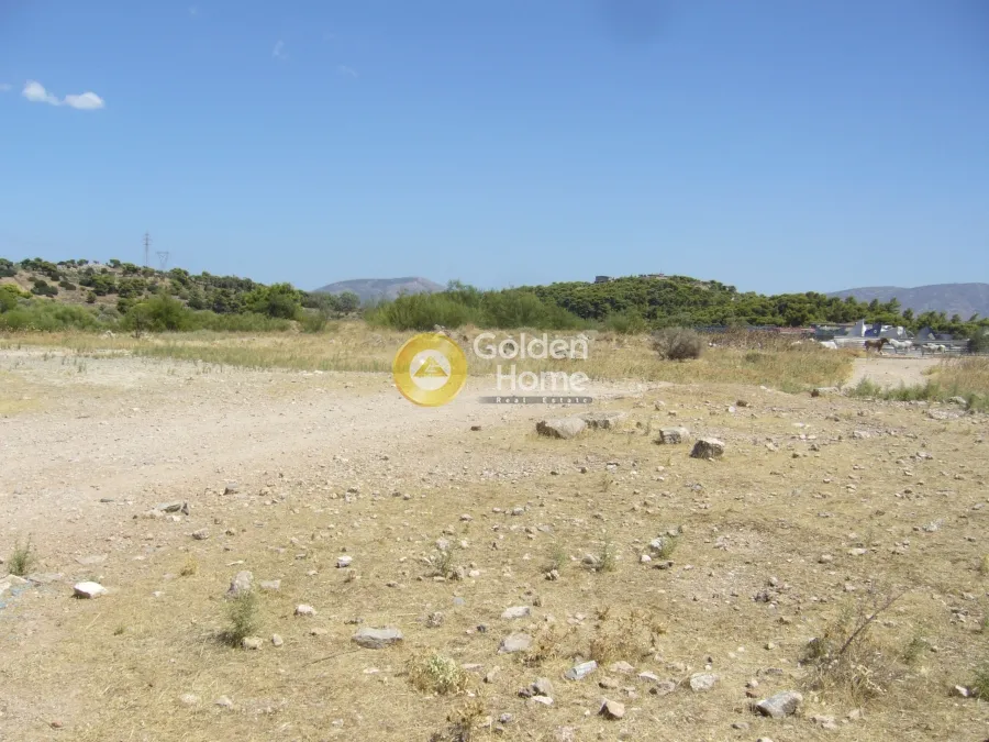 Αγροτεμάχιο 10079τ.μ.  - 4