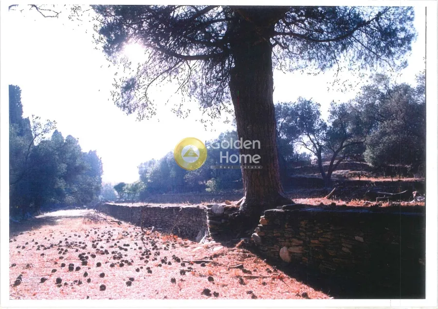 Detached house 362m²  - 5