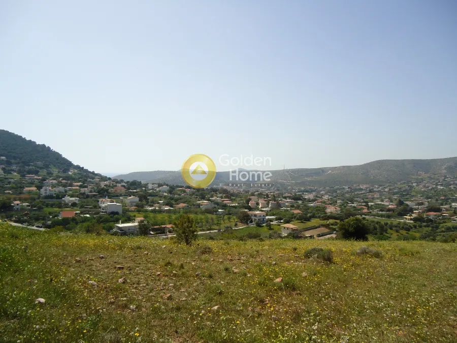 Αγροτεμάχιο 1436τ.μ.  - 2