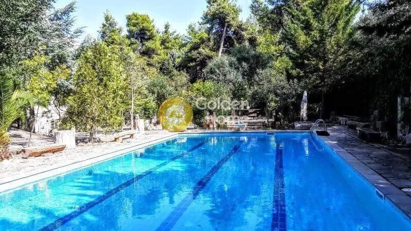 Μονοκατοικία 1000τ.μ.  - 4