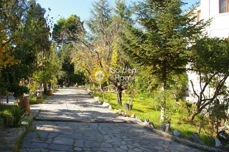 Μονοκατοικία 1000τ.μ.  - 5