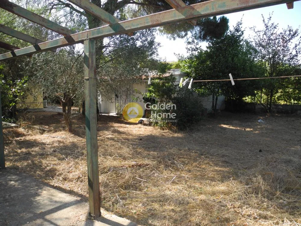 Detached house 230m²  - 4