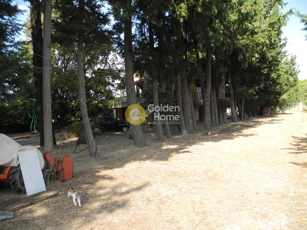 Detached house 230m²  - 5