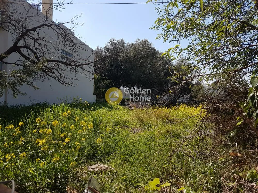 Άλλο.. 570τ.μ.  - 2