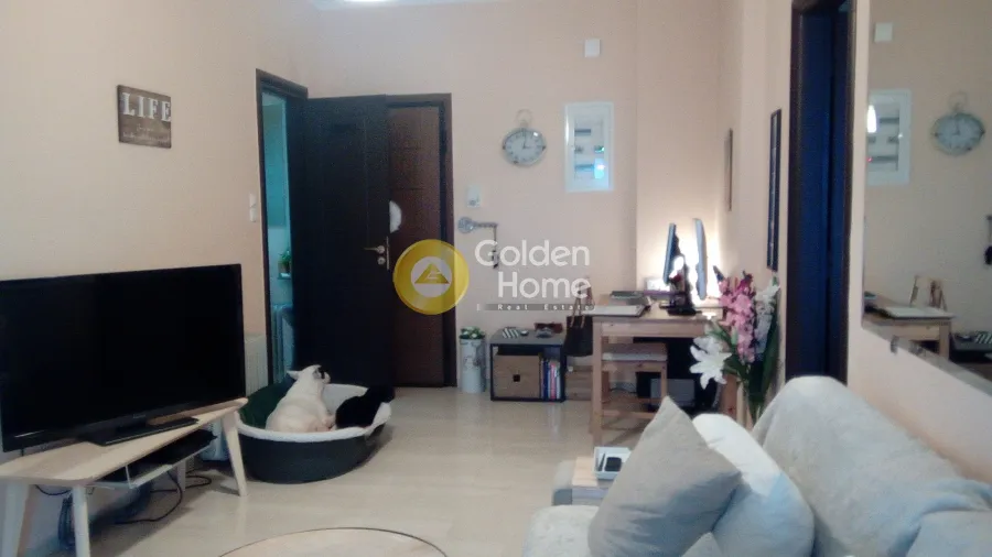 Apartment 50m²  - 2