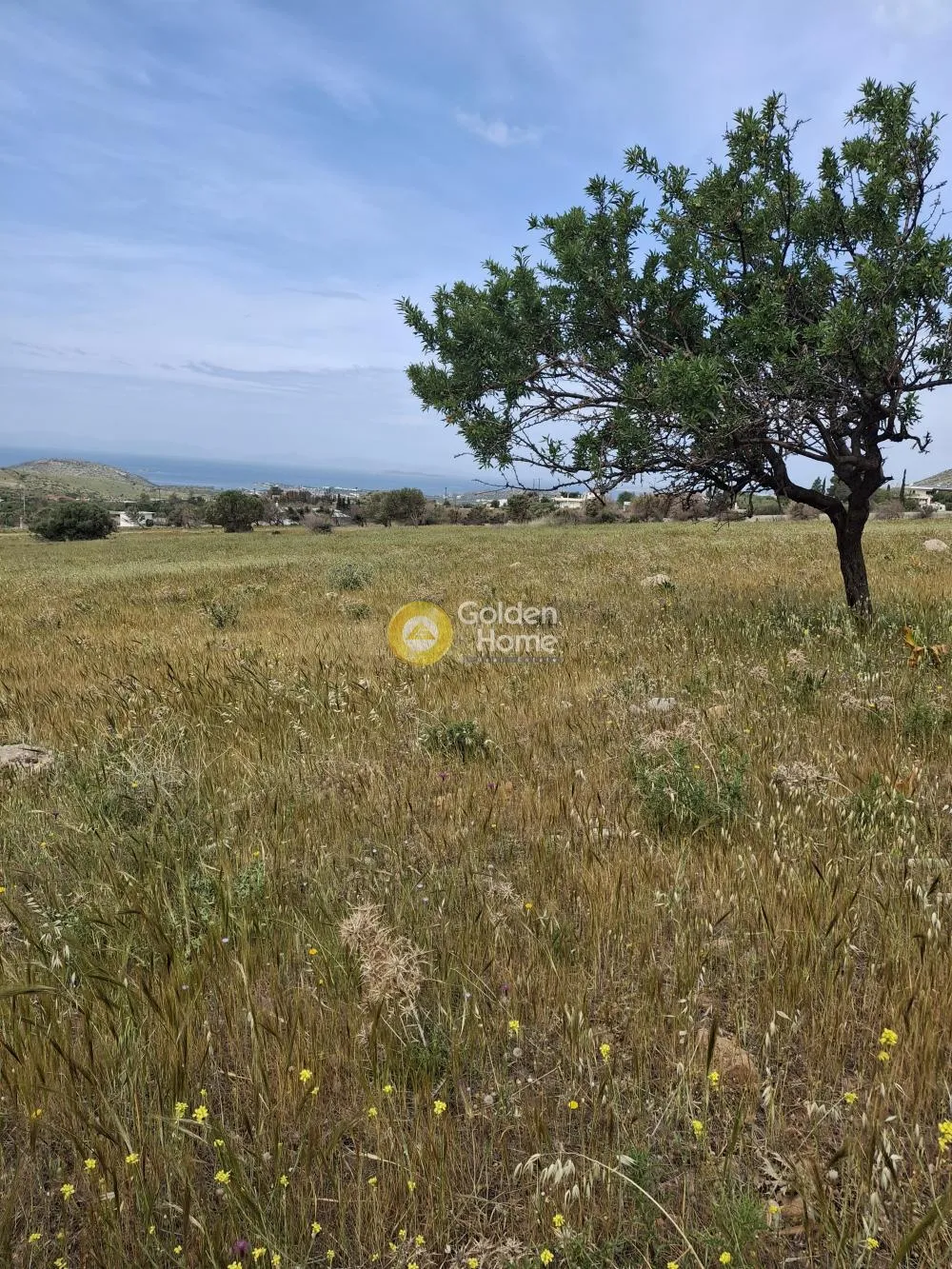 Αγροτεμάχιο 3701τ.μ.  - 2