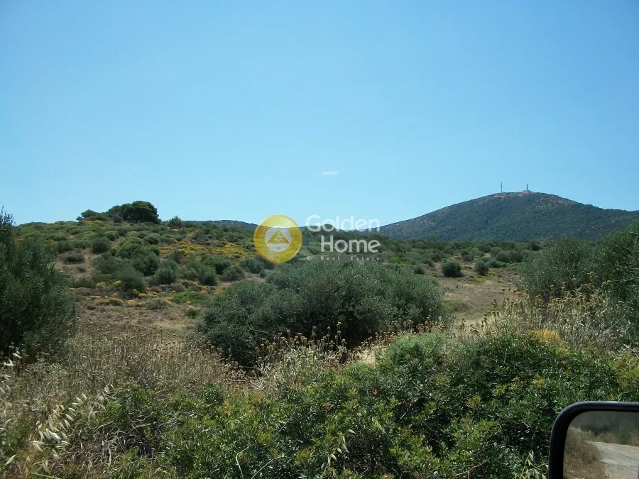 Άλλο.. 38600τ.μ.  - 2