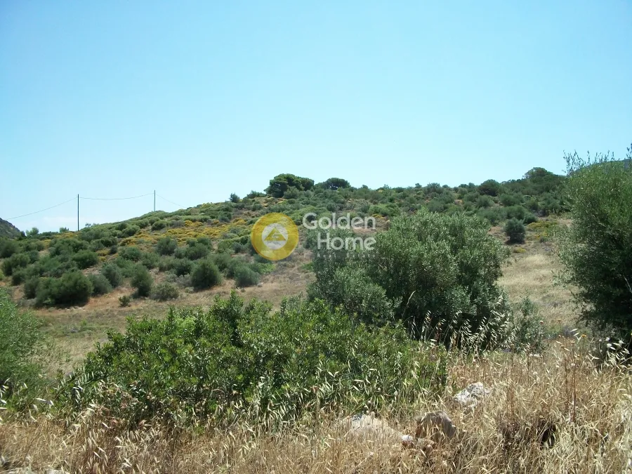 Άλλο.. 38600τ.μ.  - 3