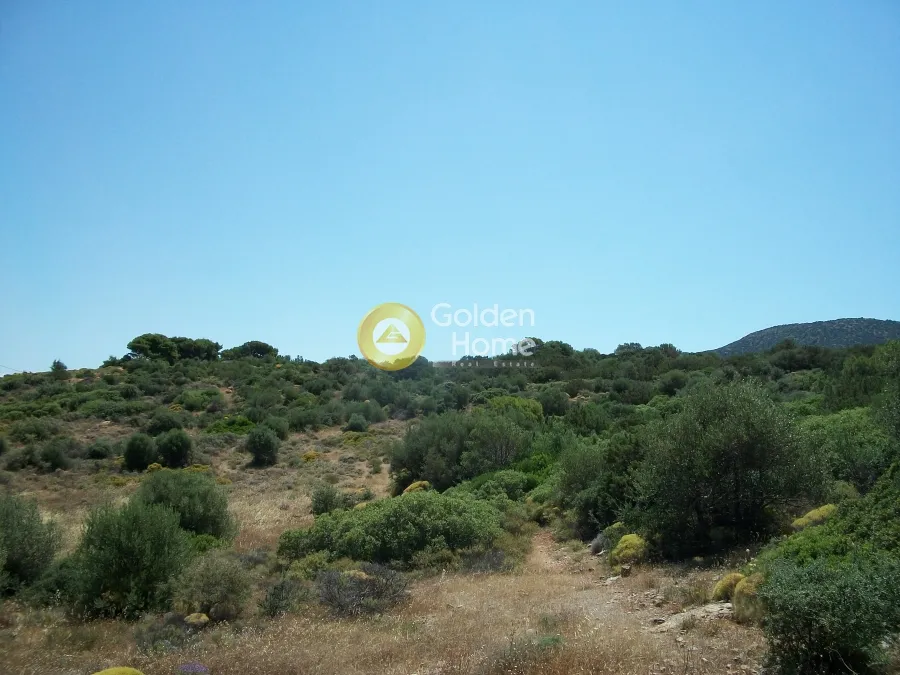 Άλλο.. 38600τ.μ.  - 4