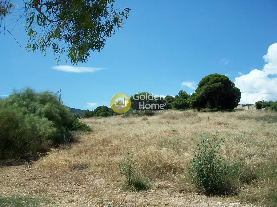 Άλλο.. 38600τ.μ.  - 5