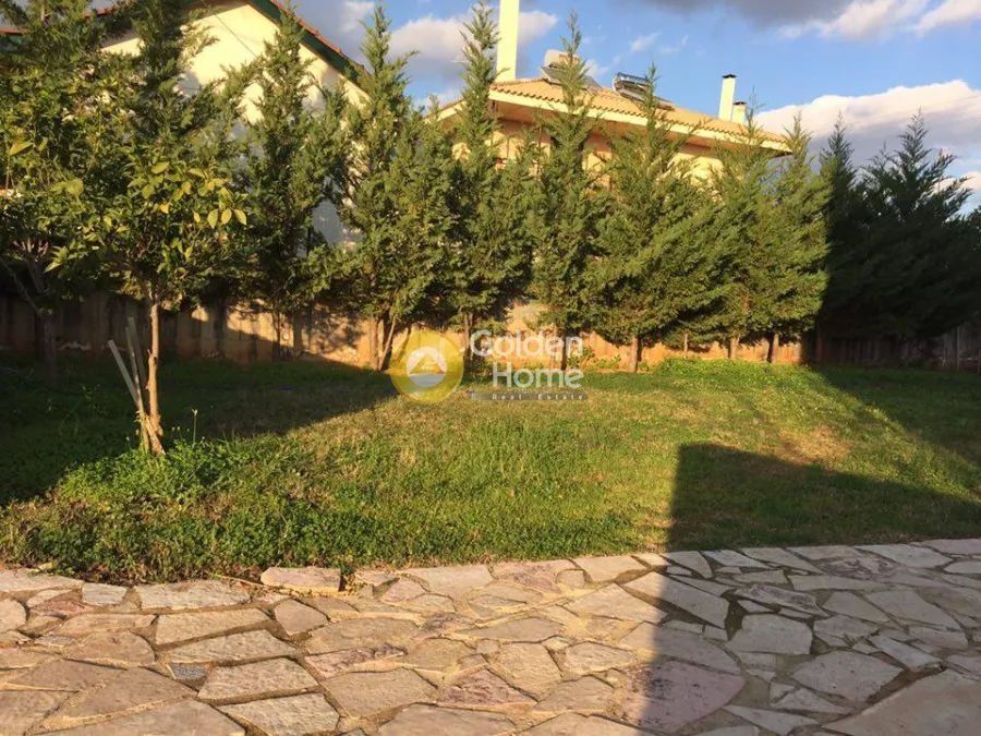 Maisonette 310m²  - 3
