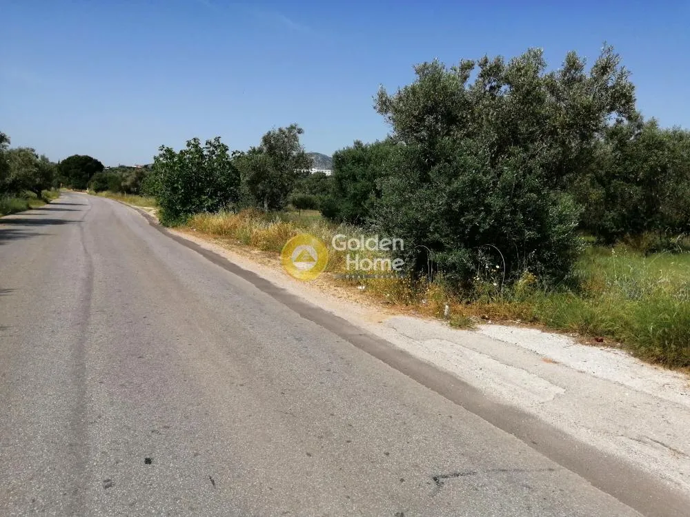 Άλλο.. 25000τ.μ.  - 3