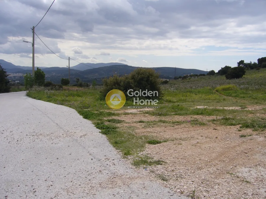Αγροτεμάχιο 21638τ.μ.  - 3