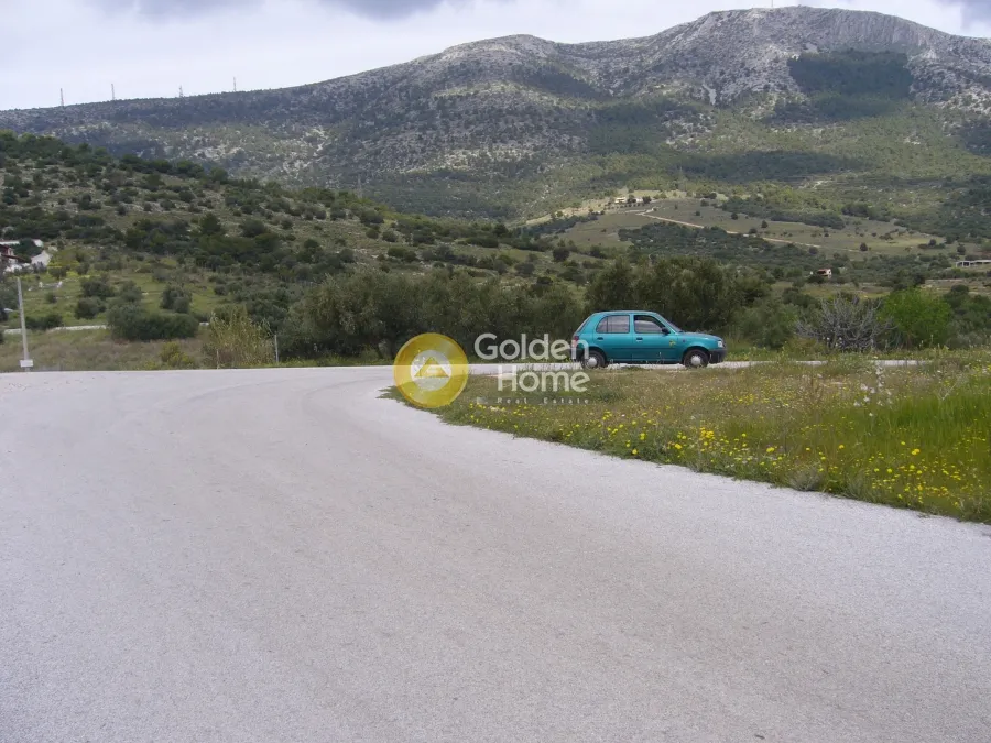 Αγροτεμάχιο 21638τ.μ.  - 5