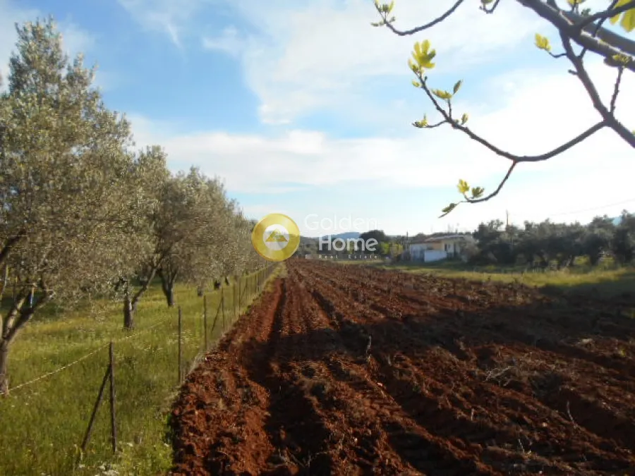 Land Parcel 3600m²  - 2