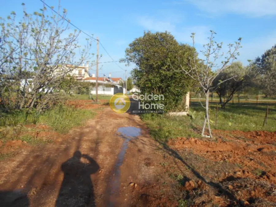 Land Parcel 3600m²  - 3