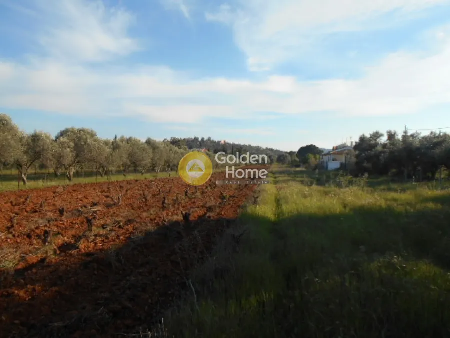 Land Parcel 3600m²  - 4