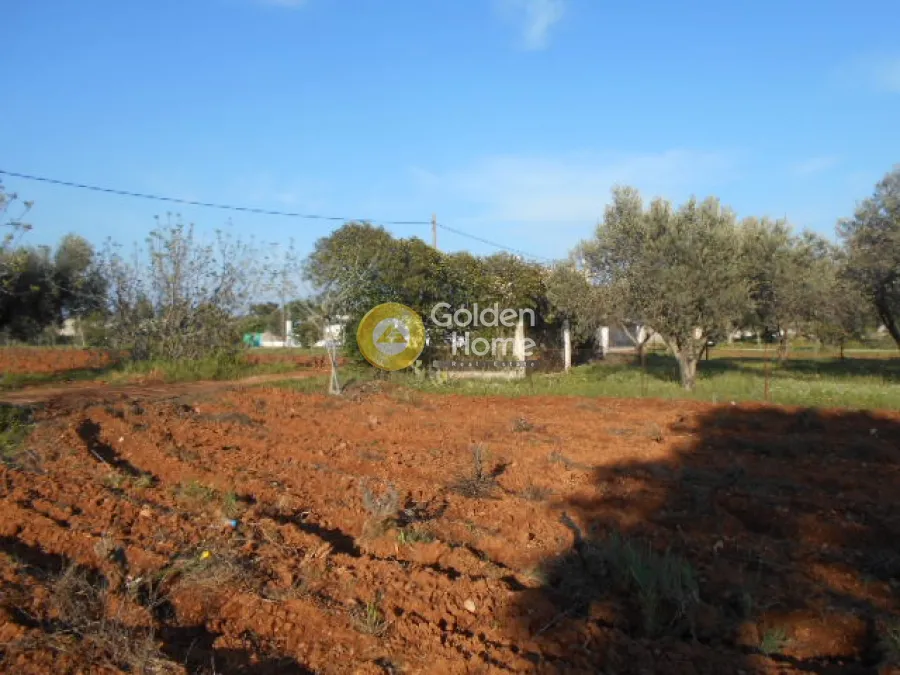 Land Parcel 3600m²  - 5