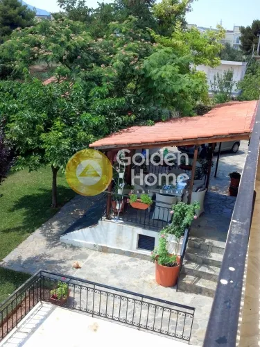 Detached house 365m²  - 2
