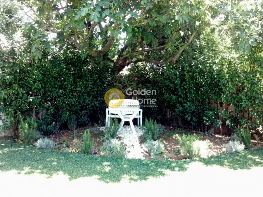 Detached house 365m²  - 5