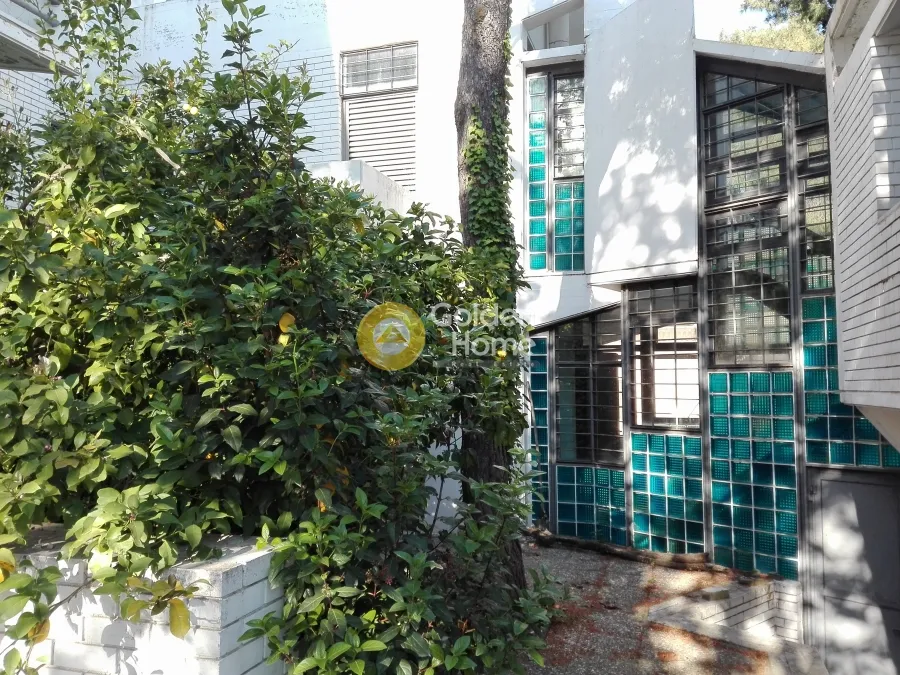 Detached house 450m²  - 4