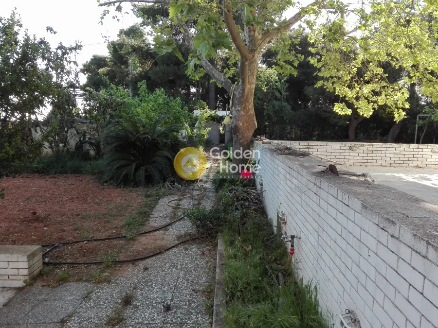 Detached house 450m²  - 5