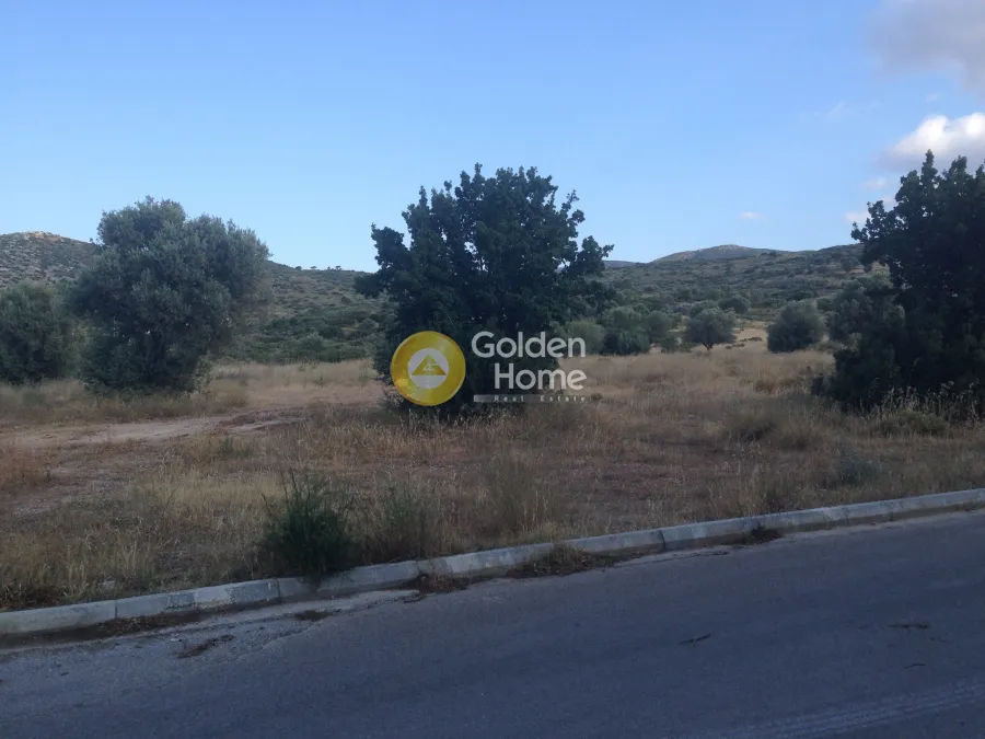 Άλλο.. 4350τ.μ.  - 2