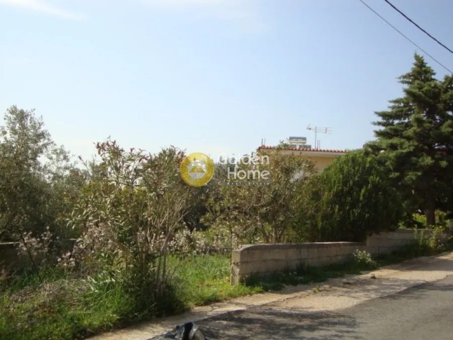 Αγροτεμάχιο 285τ.μ.  - 2