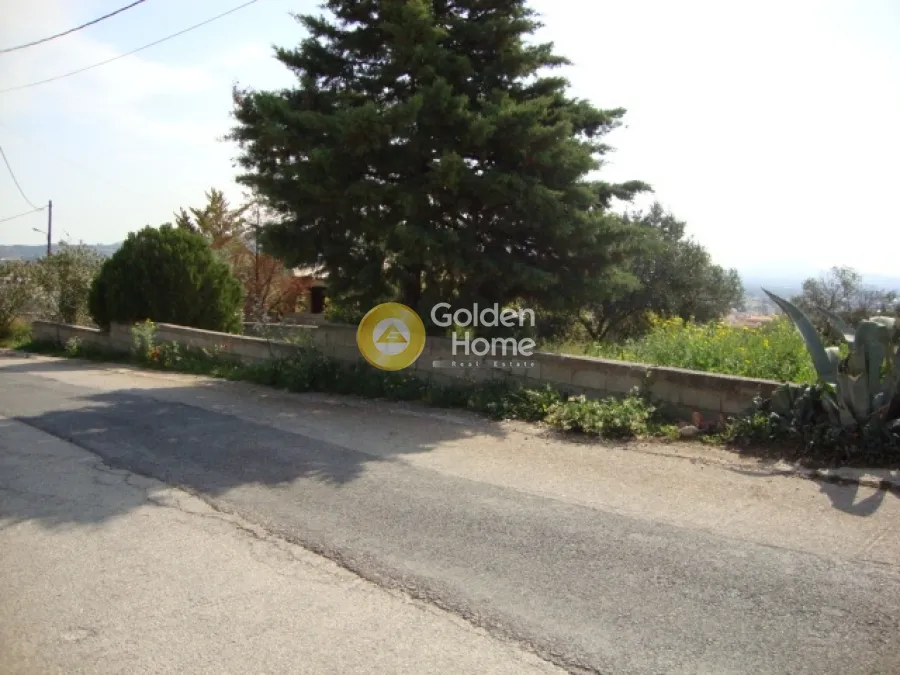 Αγροτεμάχιο 285τ.μ.  - 3