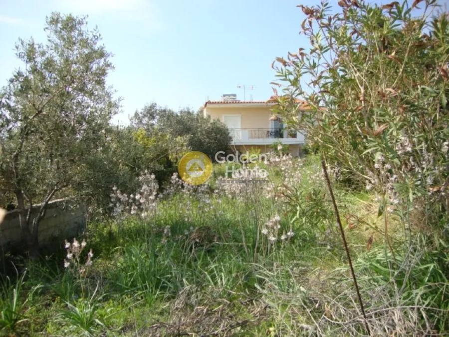 Αγροτεμάχιο 285τ.μ.  - 4