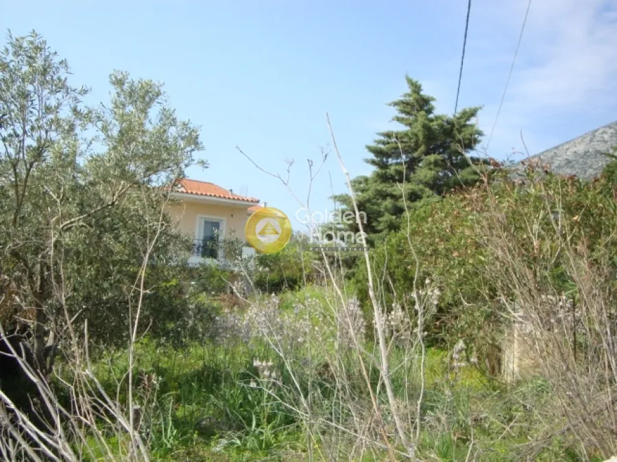 Αγροτεμάχιο 285τ.μ.  - 5