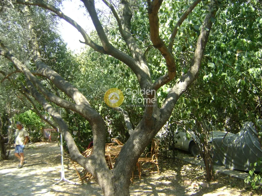 Άλλο..  462τ.μ.  - 2