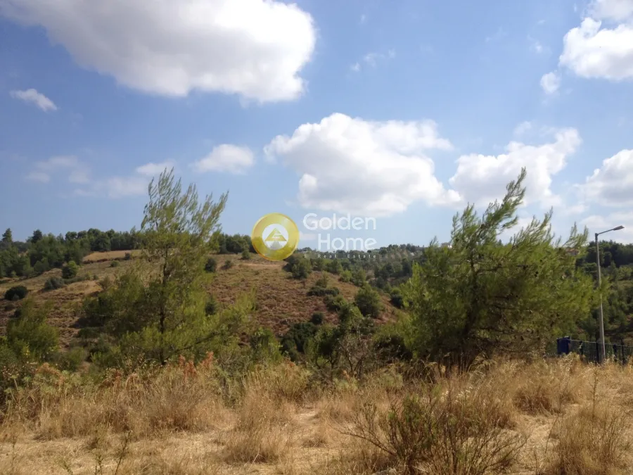 Μεζονέτα 150τ.μ.  - 5