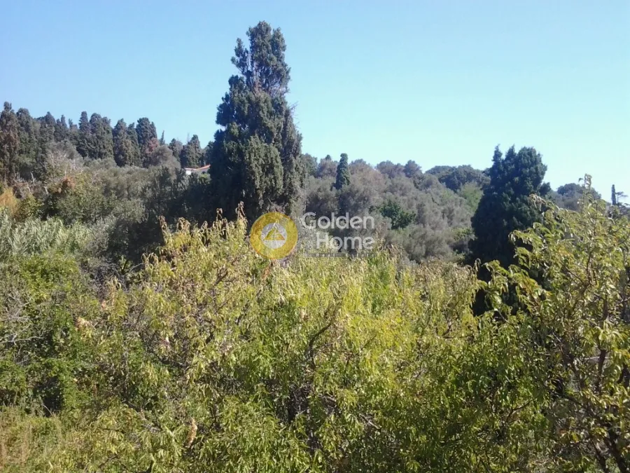 Detached house 217m²  - 4