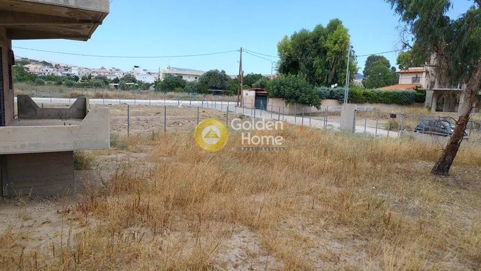 Detached house 250m²  - 5