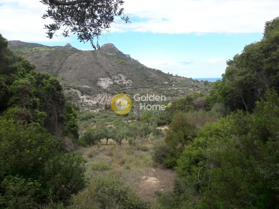 Land Parcel 21779m²  - 3